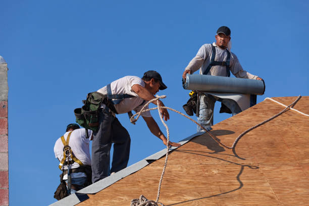 Quick and Trustworthy Emergency Roof Repair Services in Lacoochee, FL
