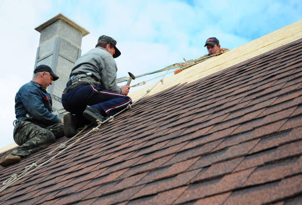 Best Roof Gutter Cleaning  in Lacoochee, FL
