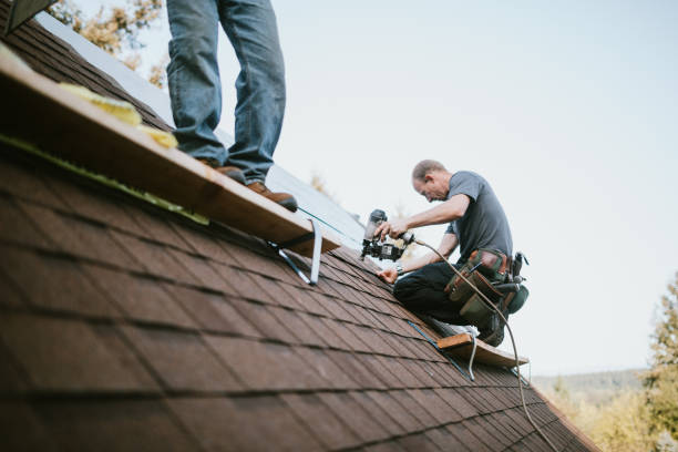 Quick and Trustworthy Emergency Roof Repair Services in Lacoochee, FL